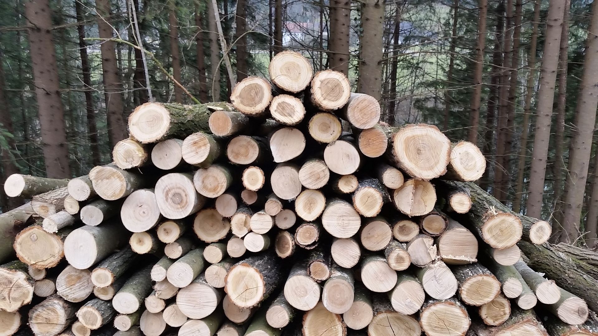 Sacs à bois de chauffage d'une corde pour sécher et livrer le bois